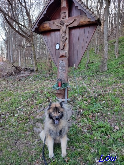 19.3.2024 - Dwix beim Wegkreuz